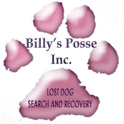 BILLYS POSSE, INC. logo