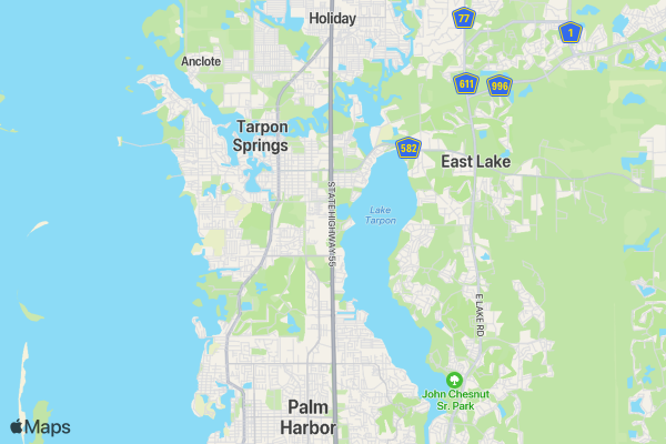 1st Annual Palm Harbor Montessori Academy 5k location map image