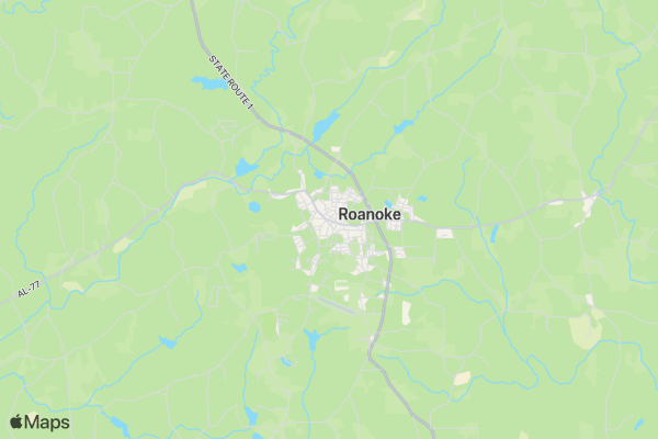 5K on St. Patty's Day location map image