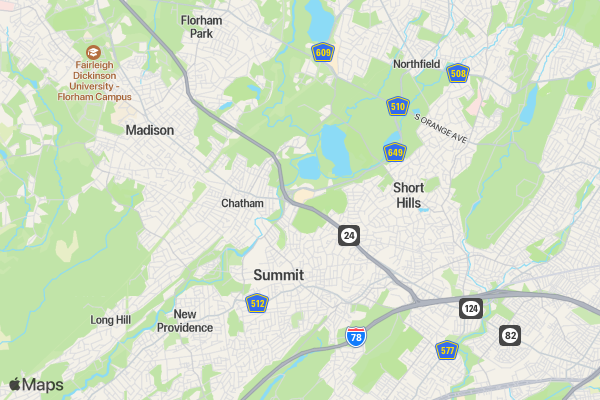 CHS Lemon Run-ALSF location map image