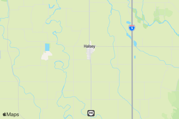 Halsey Library BOOK-IT 5K Fundraiser location map image