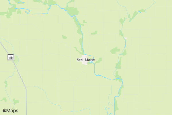 Running For The Paws location map image