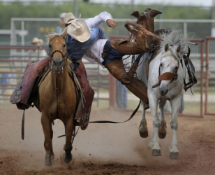 images.raceentry.com/infopages/buckin-on-the-prairie-infopages-12490.png