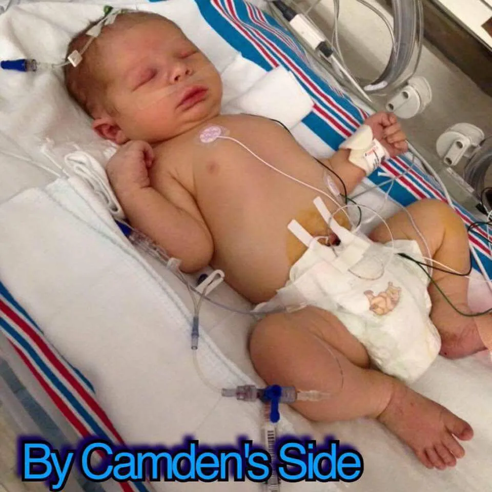 images.raceentry.com/infopages/camdenstrong--infopages-1816.webp