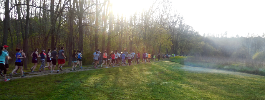 images.raceentry.com/infopages/chessie-trail-marathon-half-marathon-5k-and-marathon-rely-infopages-55565.png