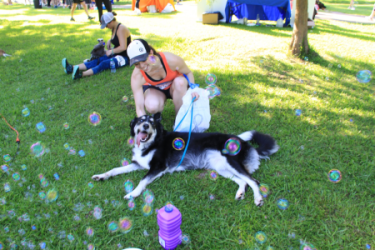 images.raceentry.com/infopages/dog-days-5k-hattiesburg-infopages-31163.png