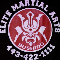 images.raceentry.com/infopages/ema-samurai-5k-run--infopages-5682.png