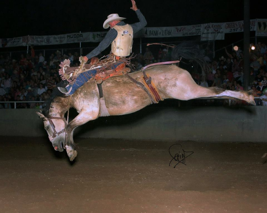 images.raceentry.com/infopages/golden-spike-rodeo-infopages-12534.png