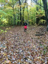 images.raceentry.com/infopages/hemlock-hollow-trail-run-infopages-4386.webp