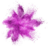 images.raceentry.com/infopages/holmes-county-friends-and-neighbors-color-run-infopages-55669.png