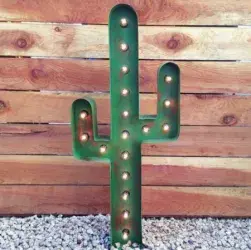 images.raceentry.com/infopages/iron-cacti-chilly-challenge-infopages-53298.webp