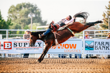 images.raceentry.com/infopages/jerome-county-fair-rodeo-infopages-12494.png