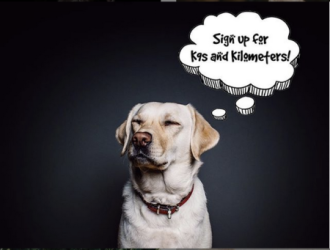 images.raceentry.com/infopages/k9s-and-kilometers-infopages-53647.png