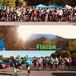 images.raceentry.com/infopages/labor-day-pun-run-5k10k-infopages-54192.png