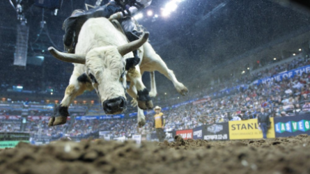 images.raceentry.com/infopages/lacombe-pro-bull-riding-infopages-12496.png