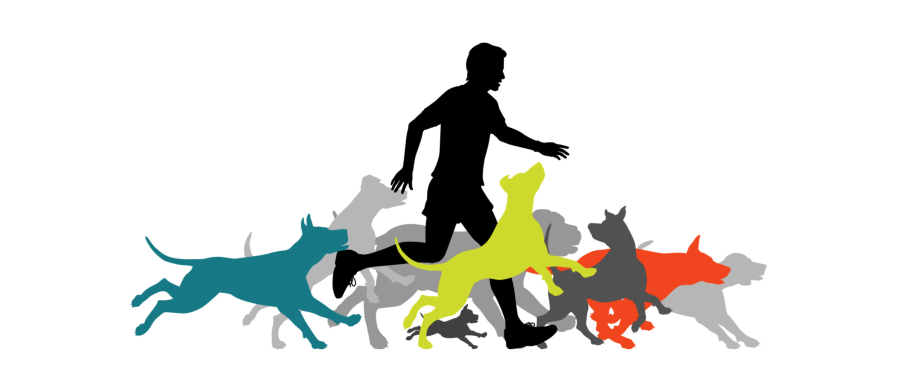 images.raceentry.com/infopages/little-guild-run-and-wag-5k-infopages-52700.png