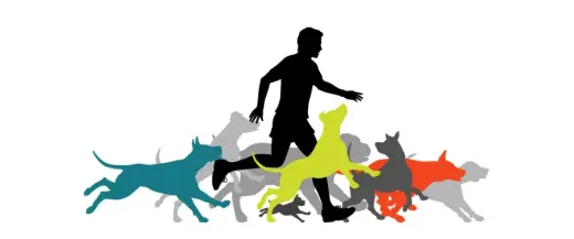 images.raceentry.com/infopages/little-guild-run-and-wag-5k-infopages-52700.webp