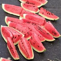 images.raceentry.com/infopages/louisiana-watermelon-festival-5k-infopages-52210.png