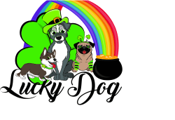 images.raceentry.com/infopages/lucky-dog-5k-schaumburg-infopages-60043.png