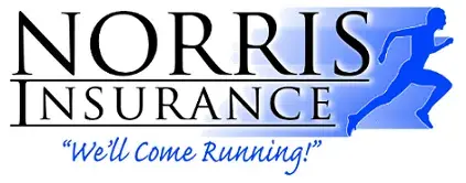 images.raceentry.com/infopages/norris-insurance-amboy-5k-infopages-4960.webp