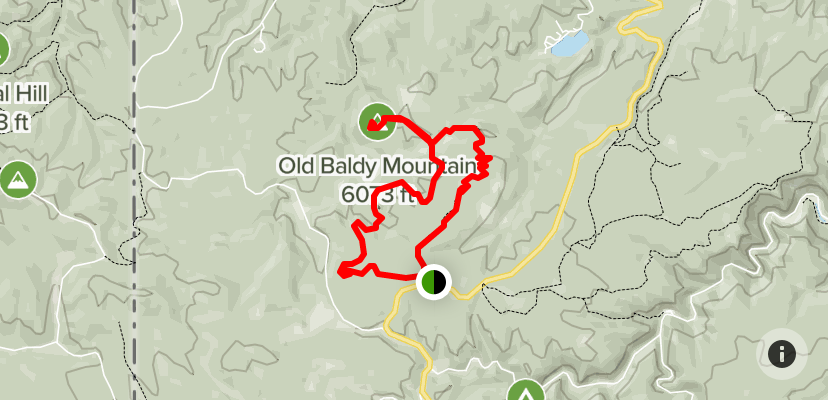 images.raceentry.com/infopages/old-baldy-infopages-53125.png