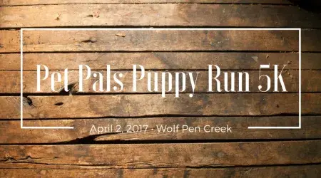 images.raceentry.com/infopages/pet-pals-puppy-run-infopages-4193.webp