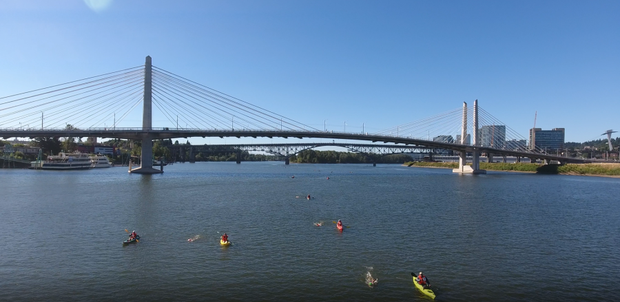 images.raceentry.com/infopages/portland-bridge-swim-infopages-62436.png