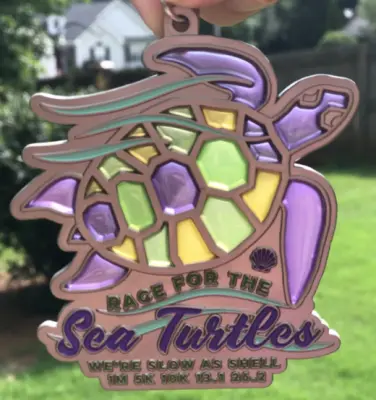 images.raceentry.com/infopages/race-for-the-sea-turtles-were-slow-as-shell-infopages-56129.webp