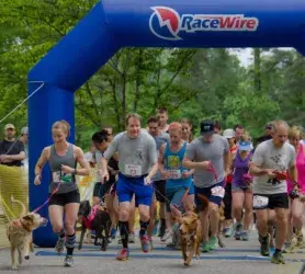images.raceentry.com/infopages/racing-for-rescues-infopages-5595.webp