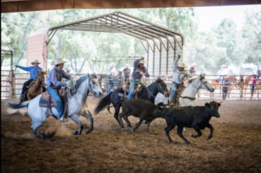 images.raceentry.com/infopages/ranchers-day-rodeo-infopages-12477.png
