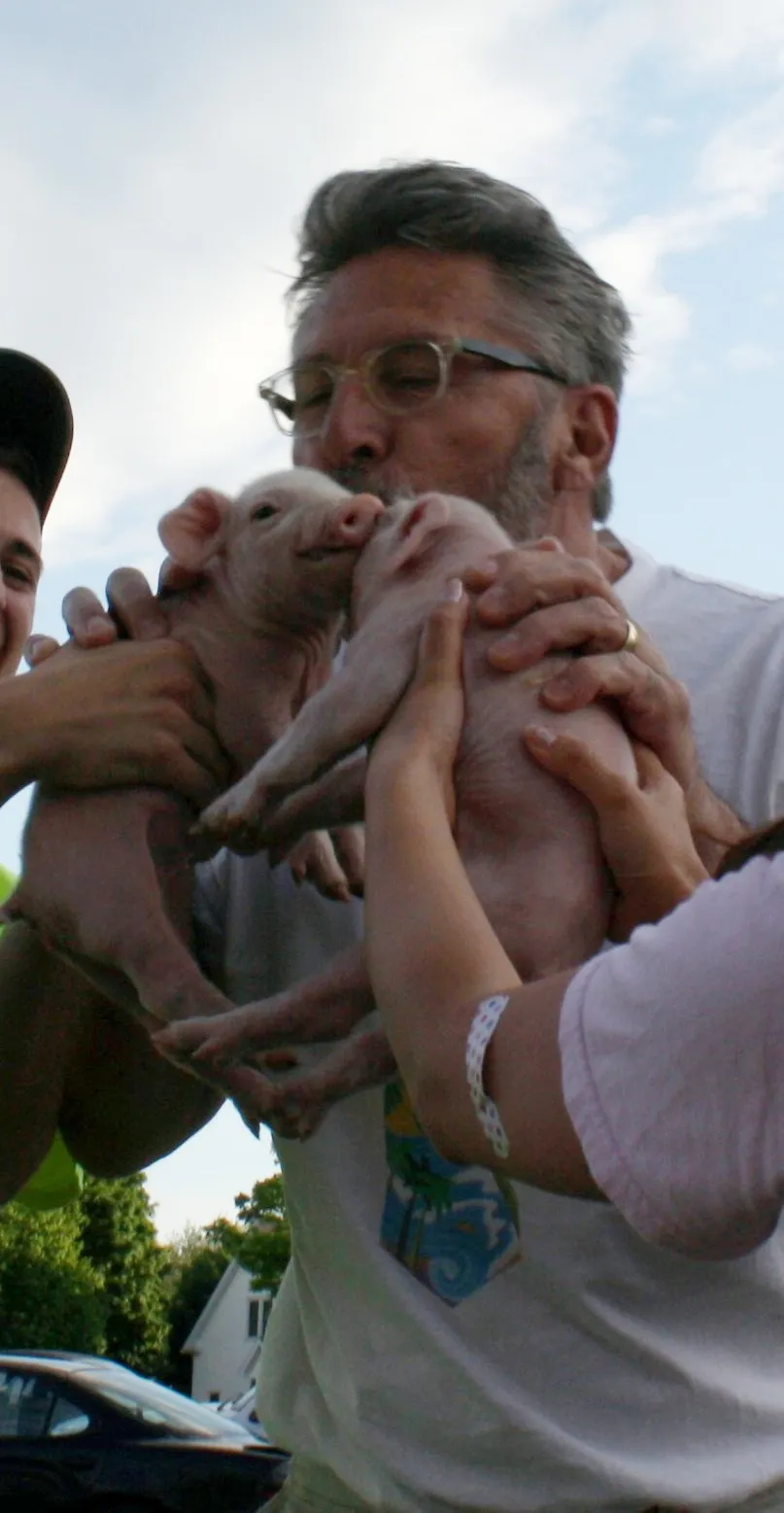 images.raceentry.com/infopages/relay-for-life-pucker-up-pig-run-infopages-1670.webp