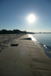 images.raceentry.com/infopages/running-the-beach-front-infopages-3931.png