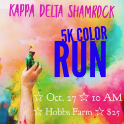 images.raceentry.com/infopages/shamrock-color-run-infopages-53338.png