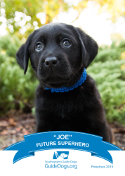images.raceentry.com/infopages/southeastern-guide-dog-wag-n-run-infopages-4298.png