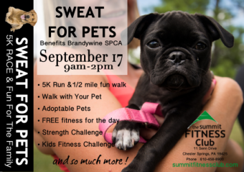 images.raceentry.com/infopages/sweat-for-pets-5k-run-and-12-mile-fun-walk-infopages-3960.png