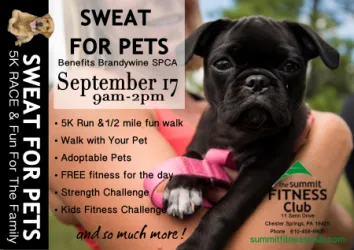 images.raceentry.com/infopages/sweat-for-pets-5k-run-and-12-mile-fun-walk-infopages-3960.webp