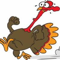 images.raceentry.com/infopages/turkey-toss-5k-infopages-60756.png