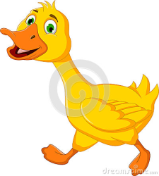 images.raceentry.com/infopages/walford-waddle-infopages-5630.png