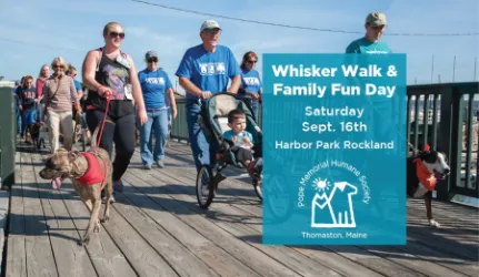 images.raceentry.com/infopages/whisker-walk--infopages-6301.webp