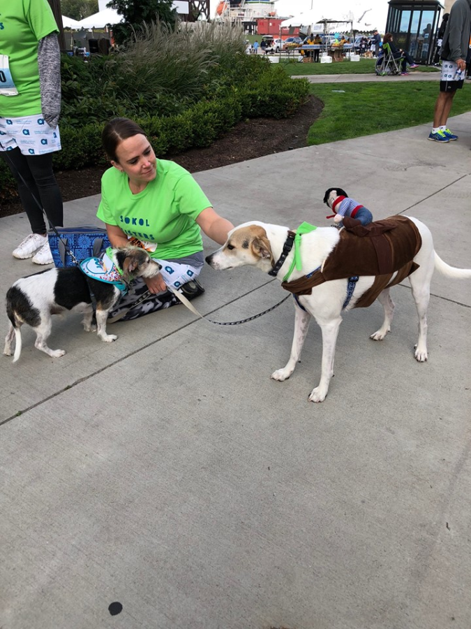 images.raceentry.com/infopages1/2019-cleveland-undy-runwalk-infopages1-54533.png