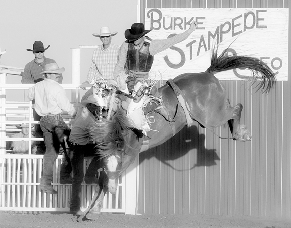 images.raceentry.com/infopages1/burke-stampede-rodeo-infopages1-12533.png