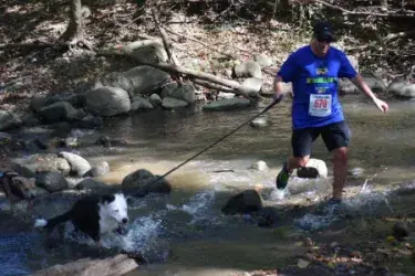 images.raceentry.com/infopages1/cani-cross-america-infopages1-53547.webp