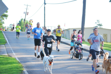 images.raceentry.com/infopages1/dog-days-5k-hattiesburg-infopages1-31163.png