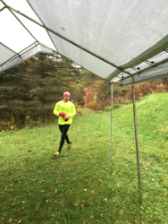 images.raceentry.com/infopages1/hemlock-hollow-trail-run-infopages1-4386.png