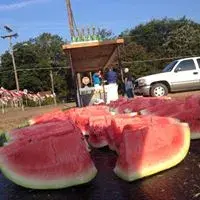 images.raceentry.com/infopages1/louisiana-watermelon-run-infopages1-52210.webp