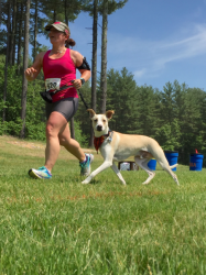 images.raceentry.com/infopages1/metrowest-k9-5k-infopages1-4807.png