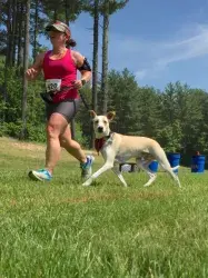 images.raceentry.com/infopages1/metrowest-k9-5k-infopages1-4807.webp