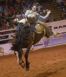 images.raceentry.com/infopages1/nacogdoches-pro-rodeo-and-steer-show-infopages1-12478.png