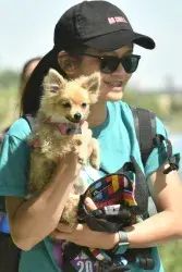 images.raceentry.com/infopages1/paws-and-sneakers-5k-infopages1-16652.webp