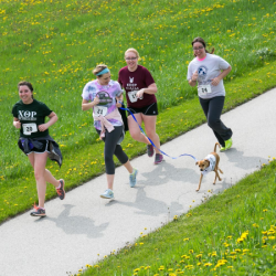 images.raceentry.com/infopages1/pooch-scooch-5k-infopages1-2897.png